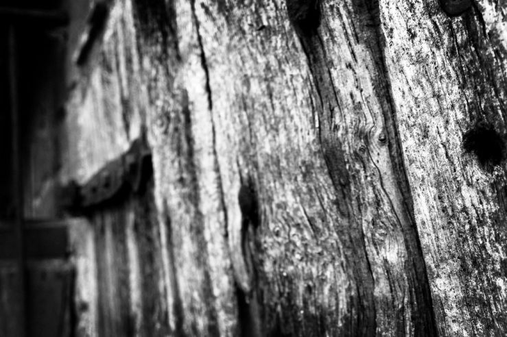 38793053575_49b92a4520_b