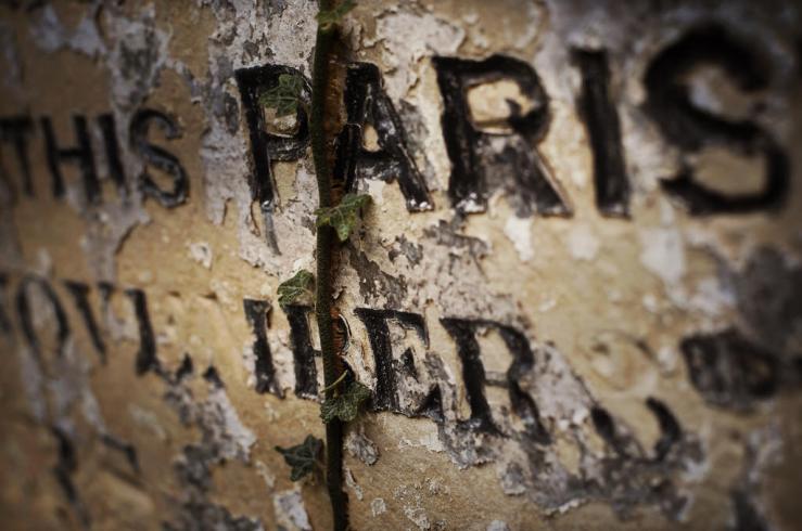 38813963904_11085eabea_b