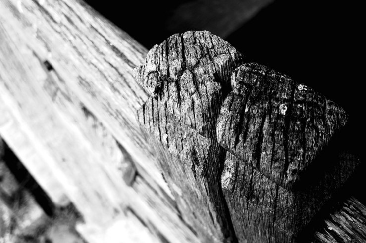 39016834025_1ba4812e5a_b