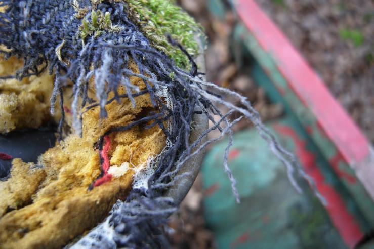 39404207292_15948d4458_b