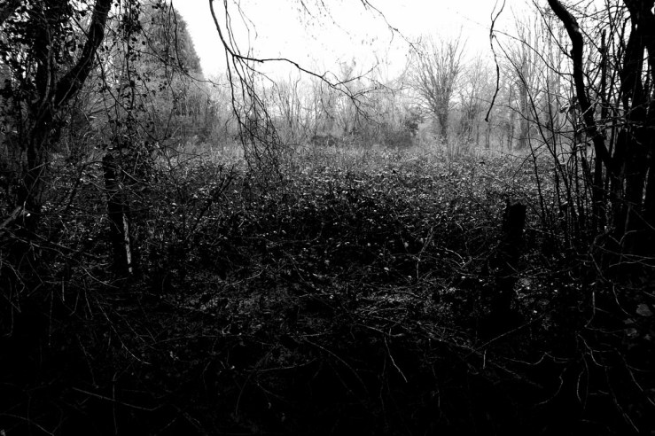 39653115401_1a43342e24_b