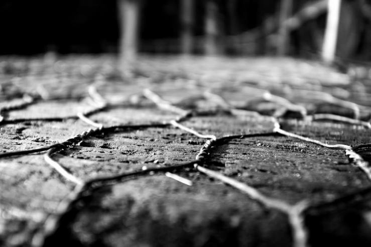 39810687942_b9cc6662b0_b