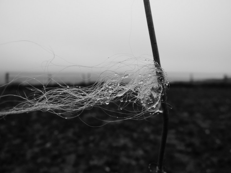 6335079236_ce02f9778f_b