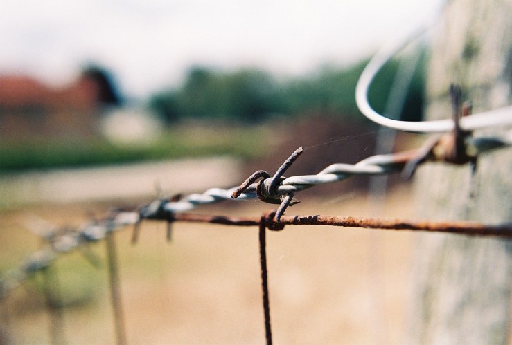 14579547394_1ed7a528a1_b