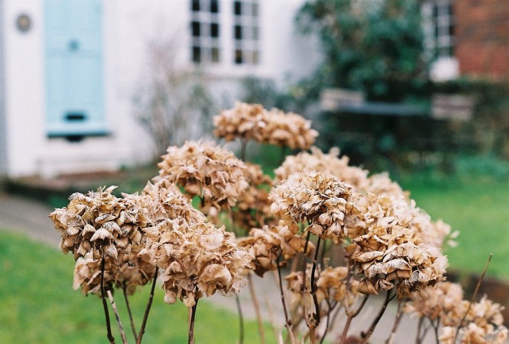 16364333658_fc0d0bd6d1_b