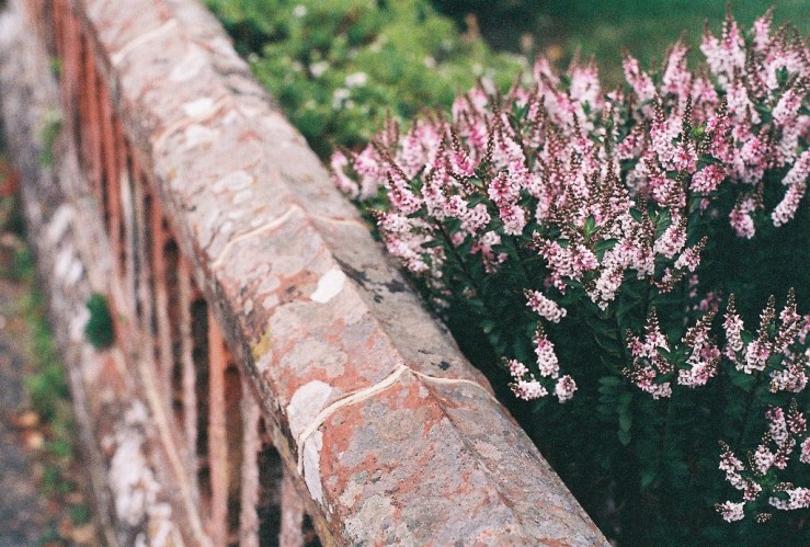 20528351021_8ae8049fd4_b