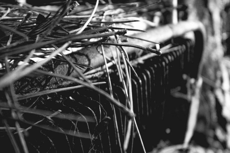 24768312748_f41c224332_b