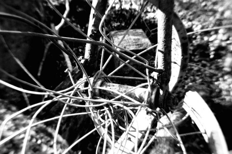 25293156927_ccfa569828_b