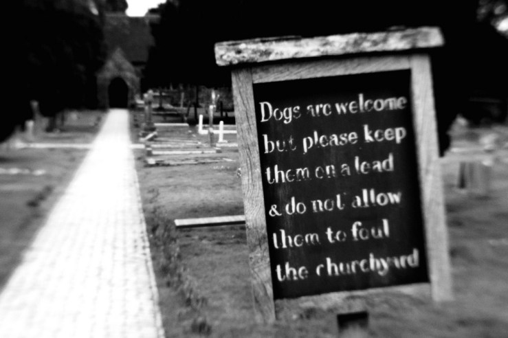 25553776297_25214bf324_b