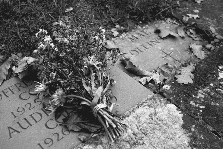 37711580411_81db4be99b_b