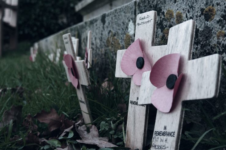 39373151774_df1f00efbb_b