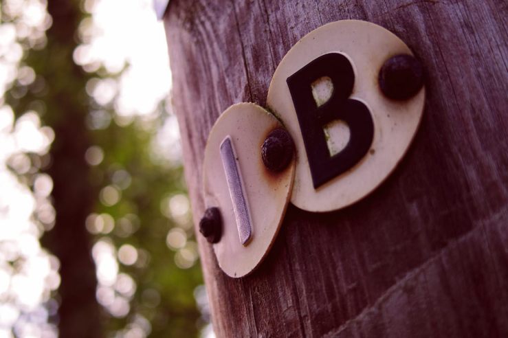 39384478135_4a76341633_b