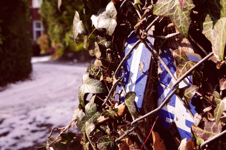 39851198244_a140598618_b