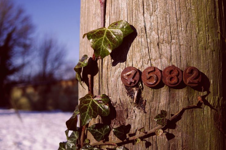 39851198804_dc113ae55c_b