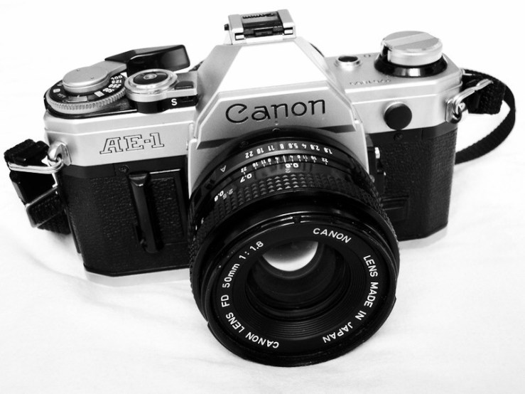 39863082204_568e688f68_b