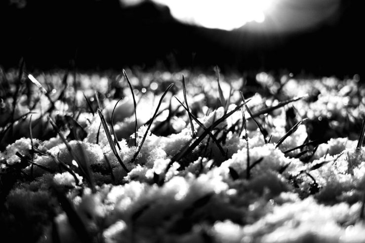 40106831062_7eeef812b7_b