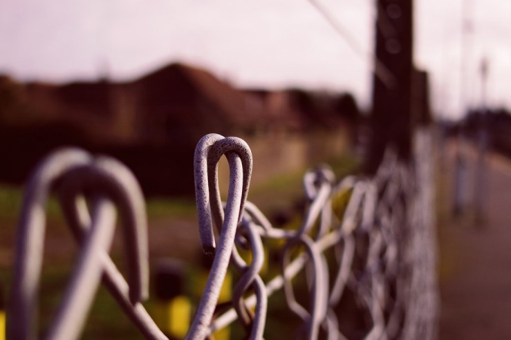 40236863892_17bf4cf44f_b