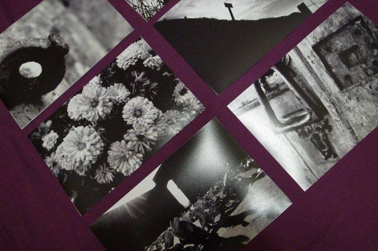 40241993812_9db5e4644d_b