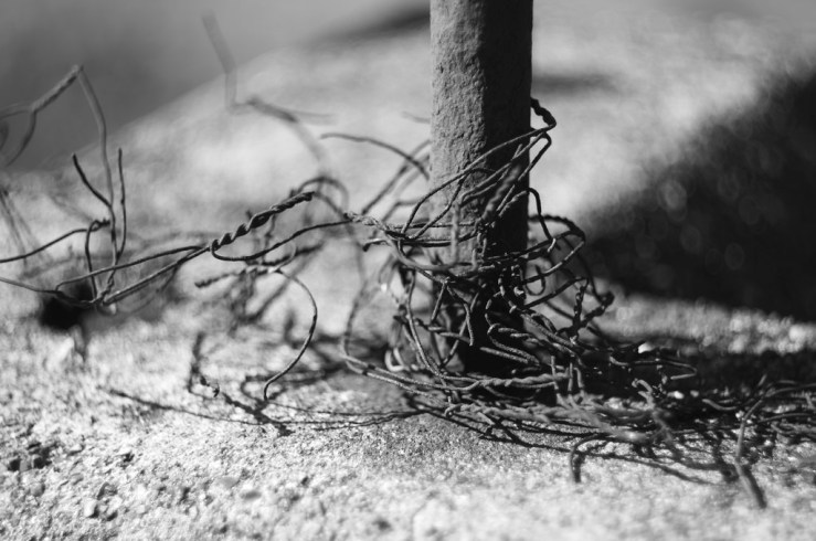 14085463718_a4ea46e7d0_b