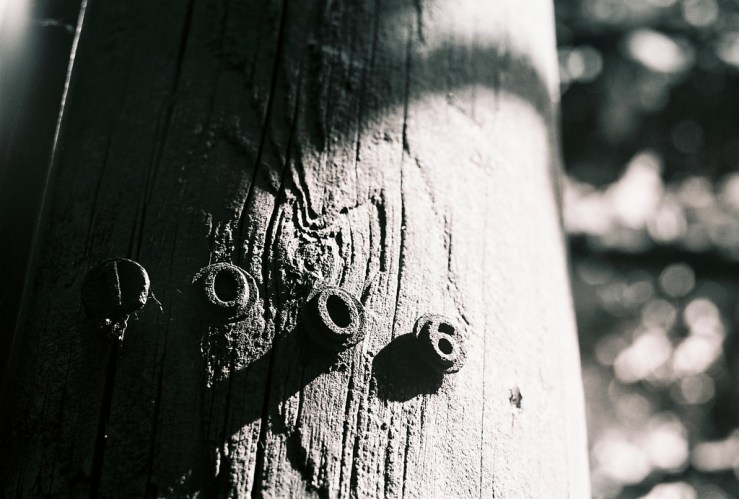 14438143365_afd97971bd_b