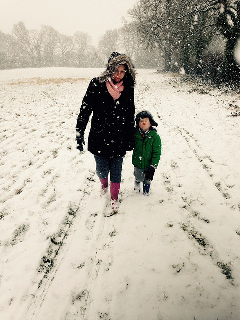 25902751597_28f65528cd_z