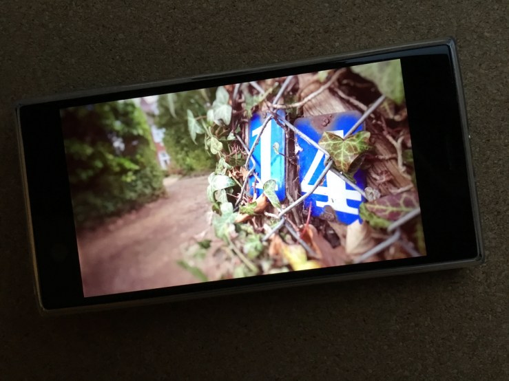 26173182967_12df668f8b_b