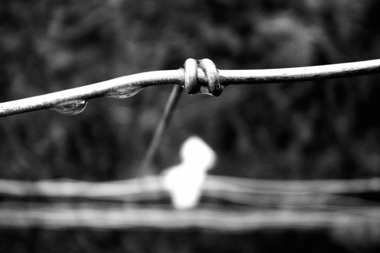 26267542887_e7eefa3495_b