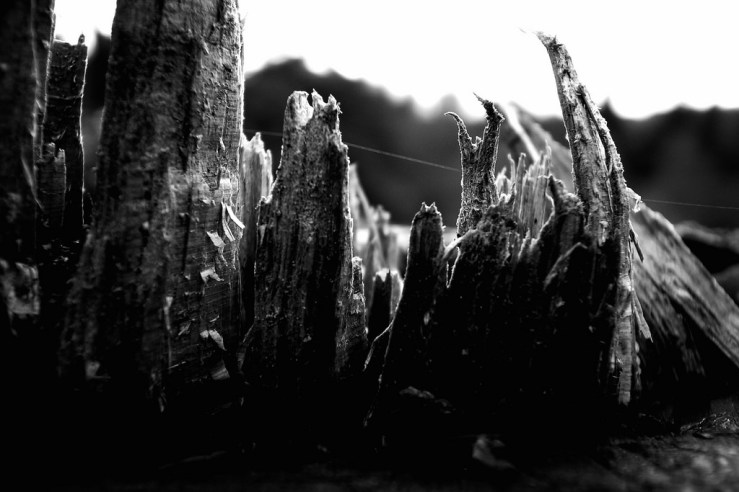 26268758597_b419d9650a_b