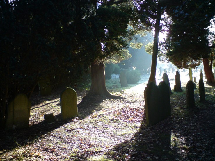 26768626718_6611ce1d60_b