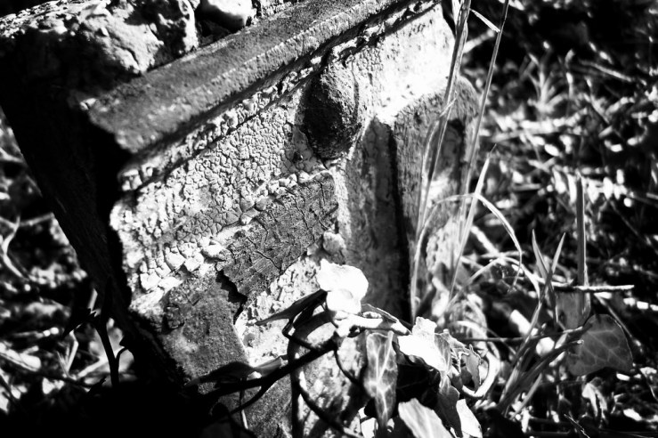 27700380619_c950426f7c_b