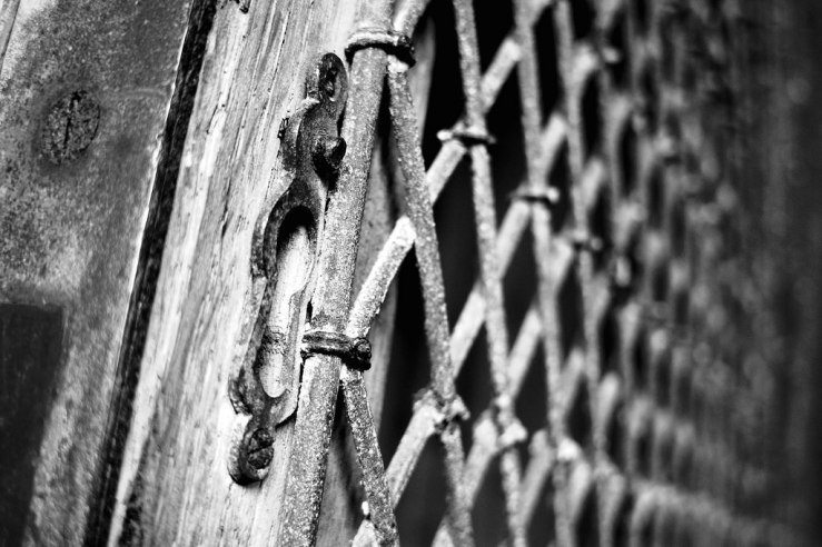 28135480879_d074907508_b