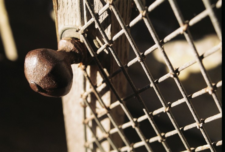 31712887584_8af6fd0183_b