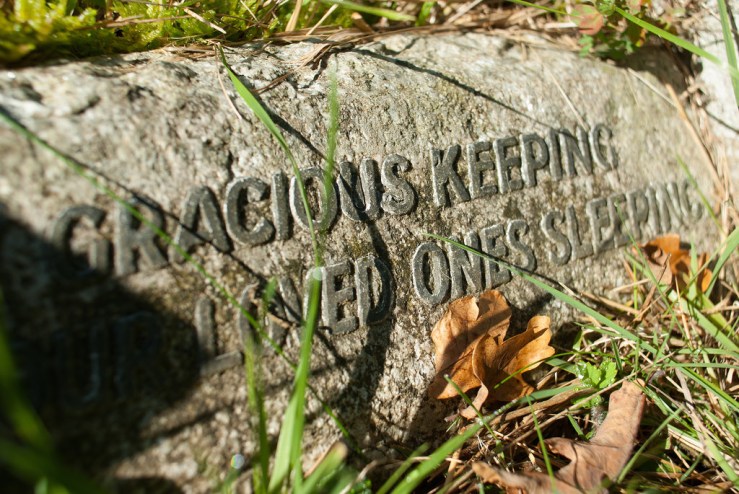 37391114185_f0f27a6337_b