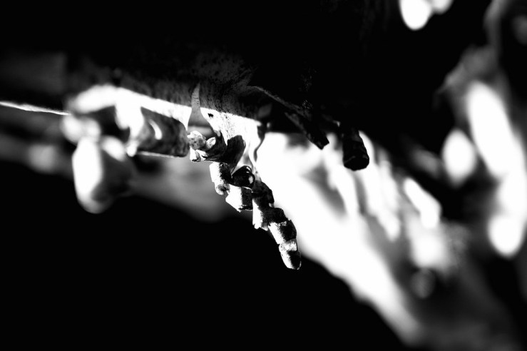 39331479870_4b547c8329_b