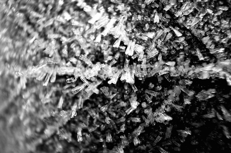 39331480190_ab16b58eed_b