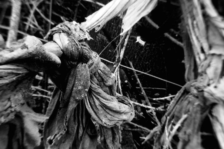 39946574565_44079f9bce_b1