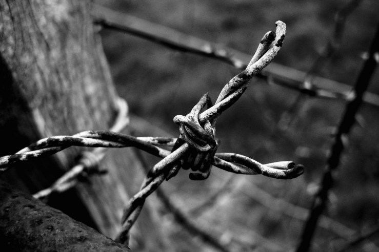 39986324744_7bf949027b_b