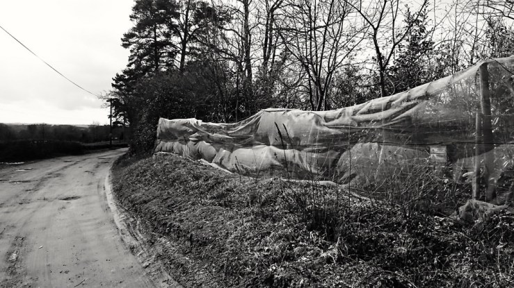 40273842704_702cdc5c90_b