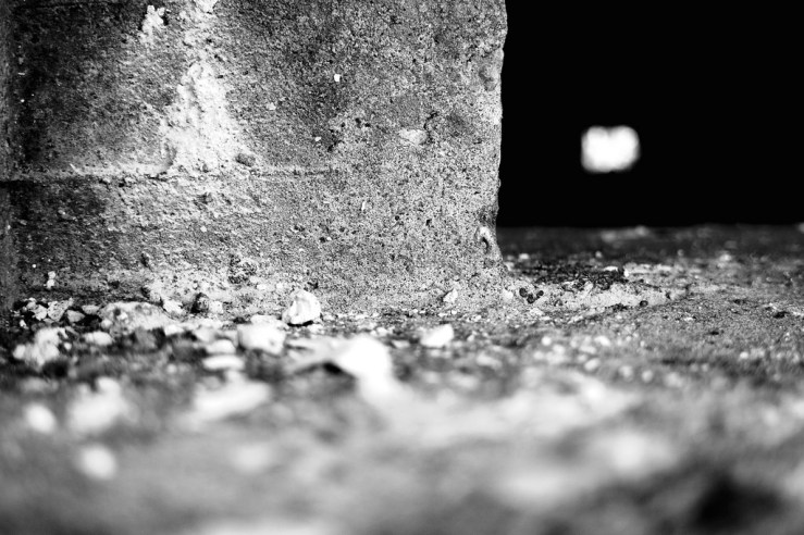 40453306451_1c440670d1_b