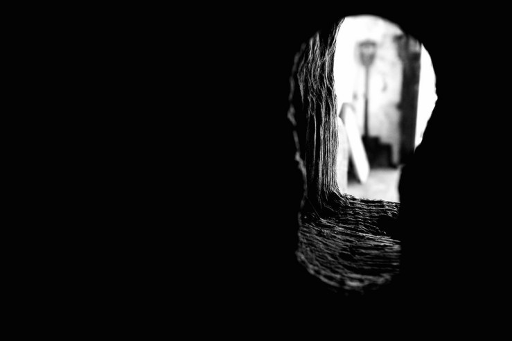 40522336001_a5cc4668f9_b