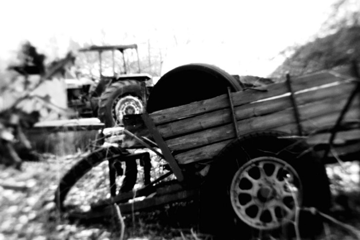 40598042291_302e4d343f_b