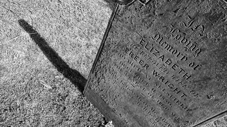 40973916961_d98bcf4236_b