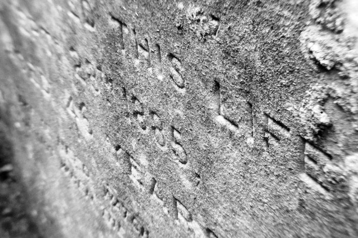 26785153157_d7b15ccd4d_b