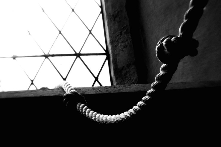 39382005700_fb5127b2b1_b