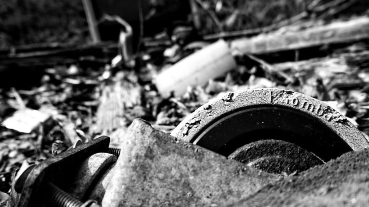 39467100620_a281031b17_b_d