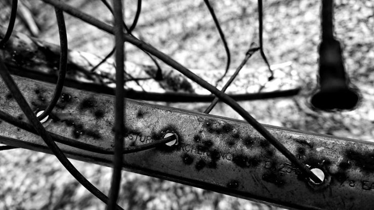 39468221580_07051ee222_b_d