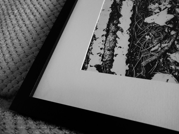 39915246890_c33538acd8_b