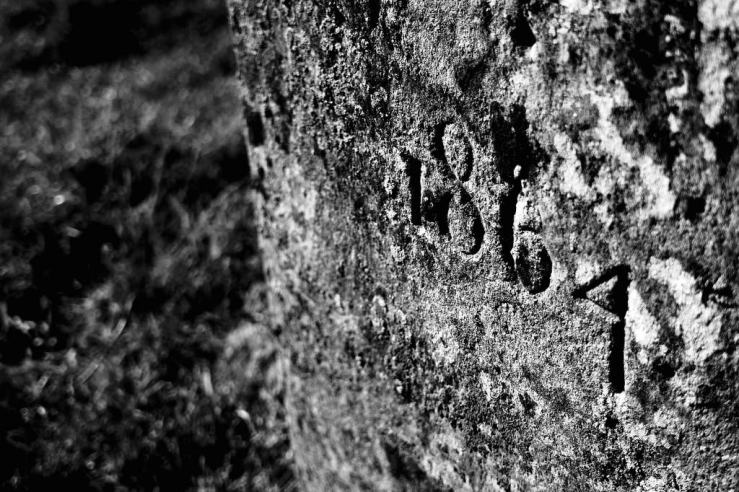 40499799725_3f19520680_b