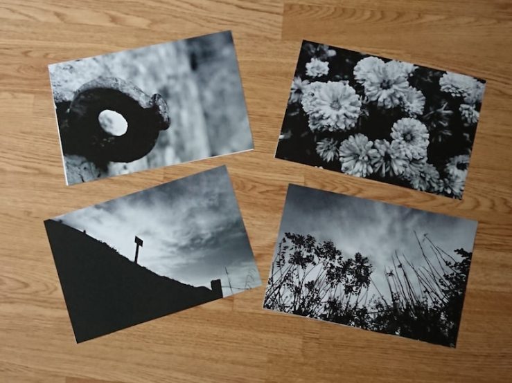 40821332645_ece066f7f9_b