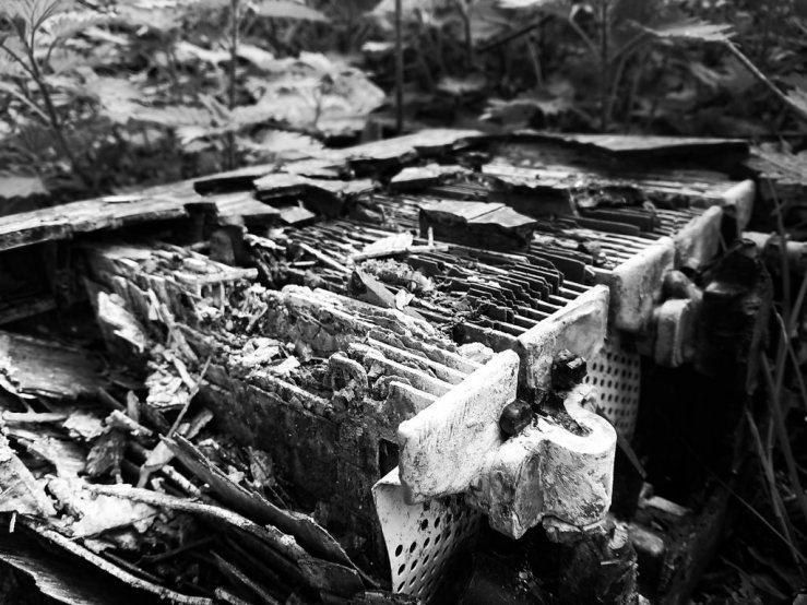 40943114254_b1a89f39dd_b